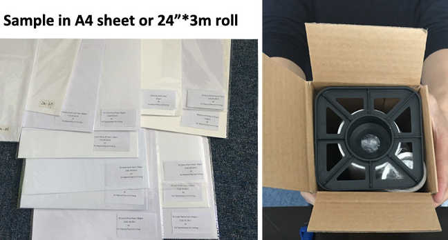 Rotoli lucido impermeabile 4" 6" 8" della carta della foto del getto di inchiostro di 240gsm RC Minilab