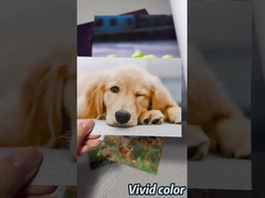 Rotolo di carta fotografica lucida premium per stampanti a grande formato Epson / Canon / HP
