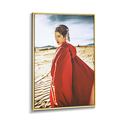 Stampe su tela personalizzate artistiche moderne Arte murale tela decorazione murale premium Pitture su tela