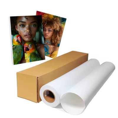 Pigmento Inkjet RC 240gm Rollo di carta fotografica con rivestimento in resina