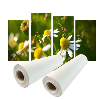 Stampa a base di pigmenti 280 gm Polyester Canvas Roll