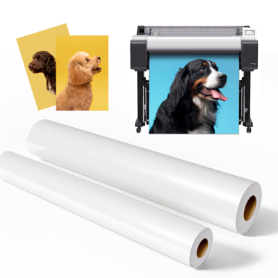 Rotolo di carta fotografica lucida RC microporosa 260 g/m² per stampanti Epson a grande formato