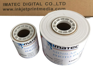 Lustro asciutto del rotolo 240Gsm della carta della foto di Digital Minilab lucido in 6