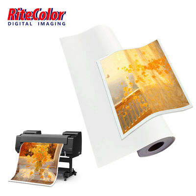 Tela Inkjet Impermeabile Opaca in Poliestere da 24'' 44'' 260gsm Anti-Crepatura Asciugatura Rapida Rotolo di Tela a Base Acquosa