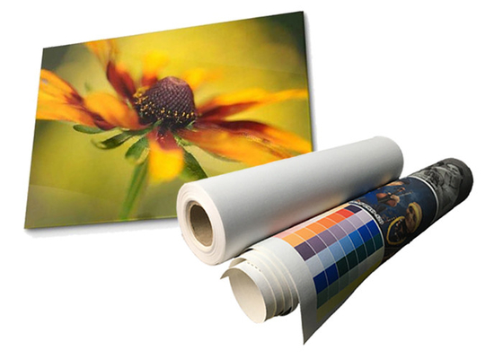 Lattice Matte Waterproof Polyester Canvas Roll Eco 280gsm solvente